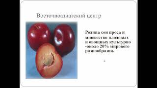 Биология. 9 класс. Генетические основы селекции организмов. Людмила Ивановна. Profi-Teacher.ru