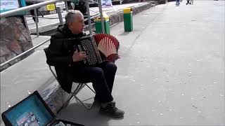Уличный ГАРМОНИСТ возле торгового