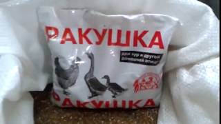 Ракушка для кур
