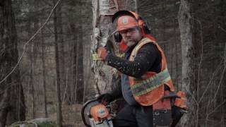 Comment abattre un arbre en toute sécurité et réduire les risques d'accident (FPFQ)