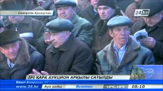 Асыл тұқымды мал аукционға шығарылды
