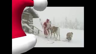 Песенка Санта и олень