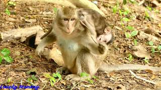 Broken Heart! Deep_Hurt Mom Hit&Fight Baby Cody Without Reason  | Pity Poor Baby Cody Cry 0ut loud .