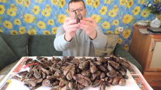 Внешний вид Бобровой струи
