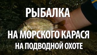 ЛОВЛЯ РЫБЫ МОРСКОЙ КАРАСЬ на ПОДВОДНОЙ ОХОТЕ. МОРСКАЯ РЫБАЛКА на КАРАСЯ во ФРАНЦИИ