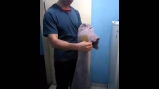Demostración del producto SA8 Blanqueador de Amway Home y Detergente SA8 de Amway Home.