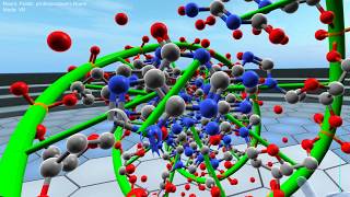 Visualizing DNA in Virtual Reality