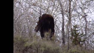 Skinwalker & Bigfoot Worlds Collide Sower Creek & Skinwalker Ranch