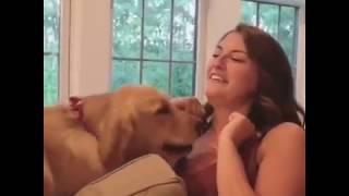 Woman making love to her dog || Girl loves her dog a bit too much || This woman REALLY loves her dog
