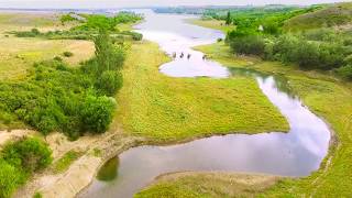 Природа 4к. Релакс. Вода, звуки природы с высоты птичьего полета.