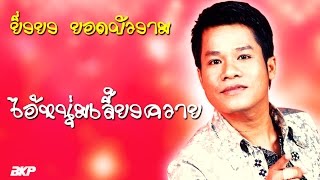 ไอ้หนุ่มเลี้ยงควาย - ยิ่งยง ยอดบัวงาม [OFFICIAL MV]
