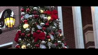 It's Christmas in Beverly Hills