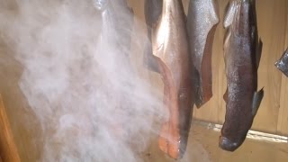 Холодное копчение рыбы полный обзор