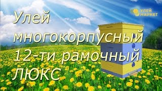 Улей многокорпусный 12-ти рамочный 145 мм СОСНА (люкс)+комплект рамок. УлейМаркет