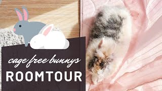 Roomtour - Wie meine Kaninchen in freier Wohnungshaltung ohne Käfig leben