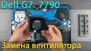 Замена вентилятора в ноутбуке Dell G7 7790