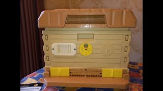 Улей из Лос-Анджелеса. Сажаю рой, даю матку, тестируем.