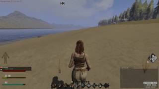 С нуля. Обучение и разбор.Life Is Feudal MMO CBT2