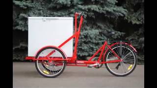 Велорикша Vega Riksha 2 Шасси