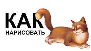 Рисунки кошек. Как нарисовать кошку