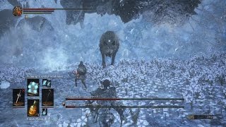 Dark Souls 3 - Sorceries Only Boss Fight #25 - Champion's Gravetender & Gravetender Greatwolf