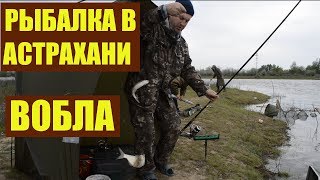Рыбалка в Астрахани  Вобла 2019  Уха на костре
