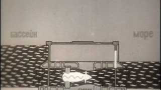 О всемирном тяготении, 1970