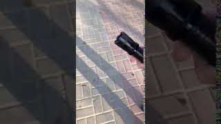 Волгоград. Электрошокер против собак
