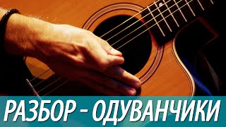 Разбор, аккорды песни - Одуванчики (бой, перебор)