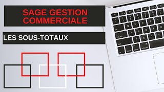 SAGE GESTION COMMERCIALE 100 SOUS-TOTAL