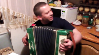 Божья коровка - Гранитный камушек (игра на баяне)