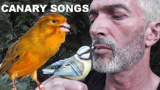 KANÁRI - The best Hungaryan canary song and video