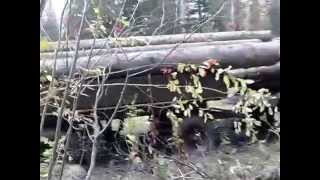 как возят лес на ТДТ-55 (часть 2)