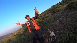 ΚΥΝΗΓΙ ΛΑΓΟΥ DABI 19 09 2018 ΤΟΥΦΕΚΙΑ ΣΤΟ ΞΕΦΩΛΙΑΣΜΑ