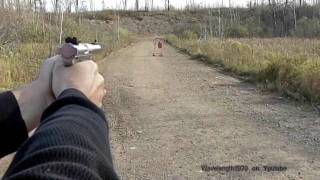 Ruger MK II stainless bull barrel, 30 yards, steel silhouette