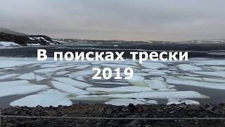 В поисках трески Баренцево море Териберка июнь 2019