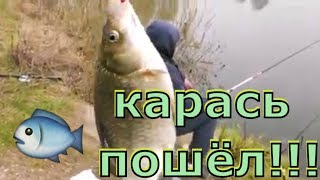 Карась пошёл!!!Подмосковный карась)))