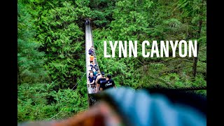 [4K] Lynn Canyon Suspension bridge Walk