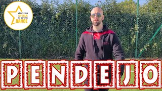 PENDEJO || Enrique Iglesias || KIZOMBA - REGGAETON || Balli di gruppo 2022 || Andrea Stella