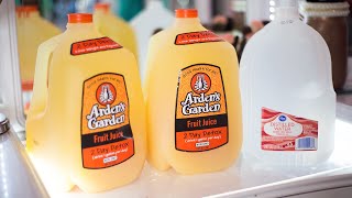 NO FOOD FOR 2 DAYS !?! ARDEN'S GARDEN TWO DAY DETOX REVIEW & RESULTS!!!