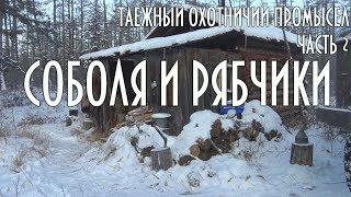 ТАЕЖНЫЙ ОХОТНИЧИЙ ПРОМЫСЕЛ. СОБОЛЯ И РЯБЧИКИ. ТАЙГА Часть 2