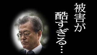 日本の制裁で韓国企業は345倍の被害！「ホワイト国」除外なら、更に1100品目の戦略物資・先端素材に規制！日本の対韓国「強的制裁」に追撃か！【徴用工問題】【三神利休】【日韓関係】【半導体規制】