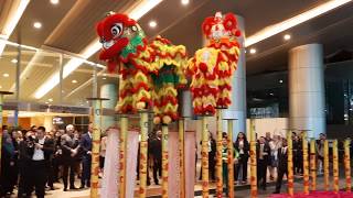 2020 CNY National Champion Troupe Acrobatic Lion Dance Performance @ KL Convention Centre #雪州雙溪威群樂體育