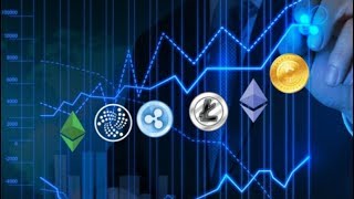 Crypto Investment Firm - "Market Will Mature, More Investments, Less Volatility" - Bittrex Re-Opens
