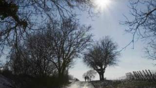 Ludwig van Beethoven - Violin Concerto D Major Opus 61 - (2) Larghetto