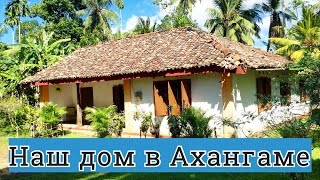 НАШ ДОМ В АХАНГАМЕ В ДЖУНГЛЯХ ШРИ-ЛАНКИ