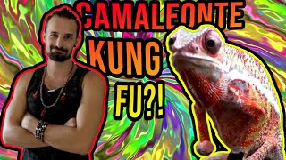 Ho preso 5 NUOVI ANIMALI!!