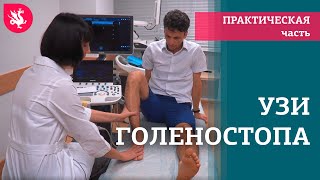 Запись прямого эфира "УЗИ голеностопного канала: техника сканирования"