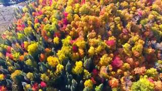 ДУДУК!!! Волшебная New-age Музыка! Дмитрий Метлицкий "Остров"/Magic Instrumental music