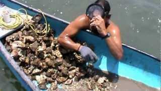 Los Ostiones de Teacapan y El Diablo 2012